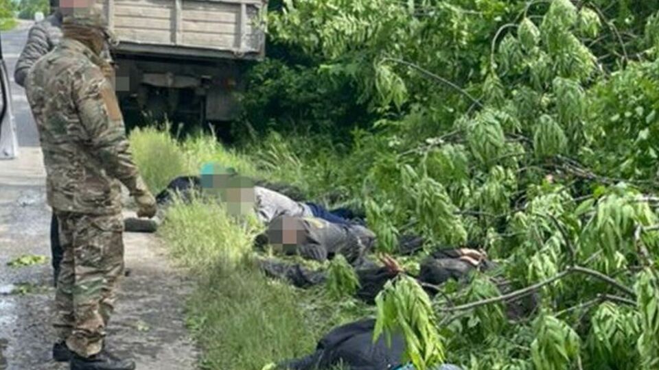 За даними СБУ, п'ятьох фігурантів затримали на гарячому, коли вони намагалися вивезти чергову партію незаконно зрубаної деревини