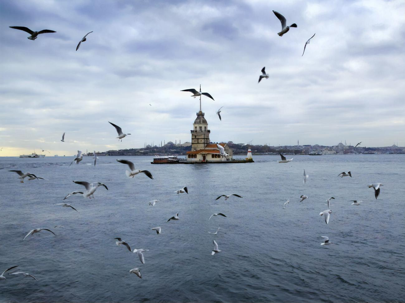 Узбережжя Мармурового моря неподалік від Стамбула покрив слиз