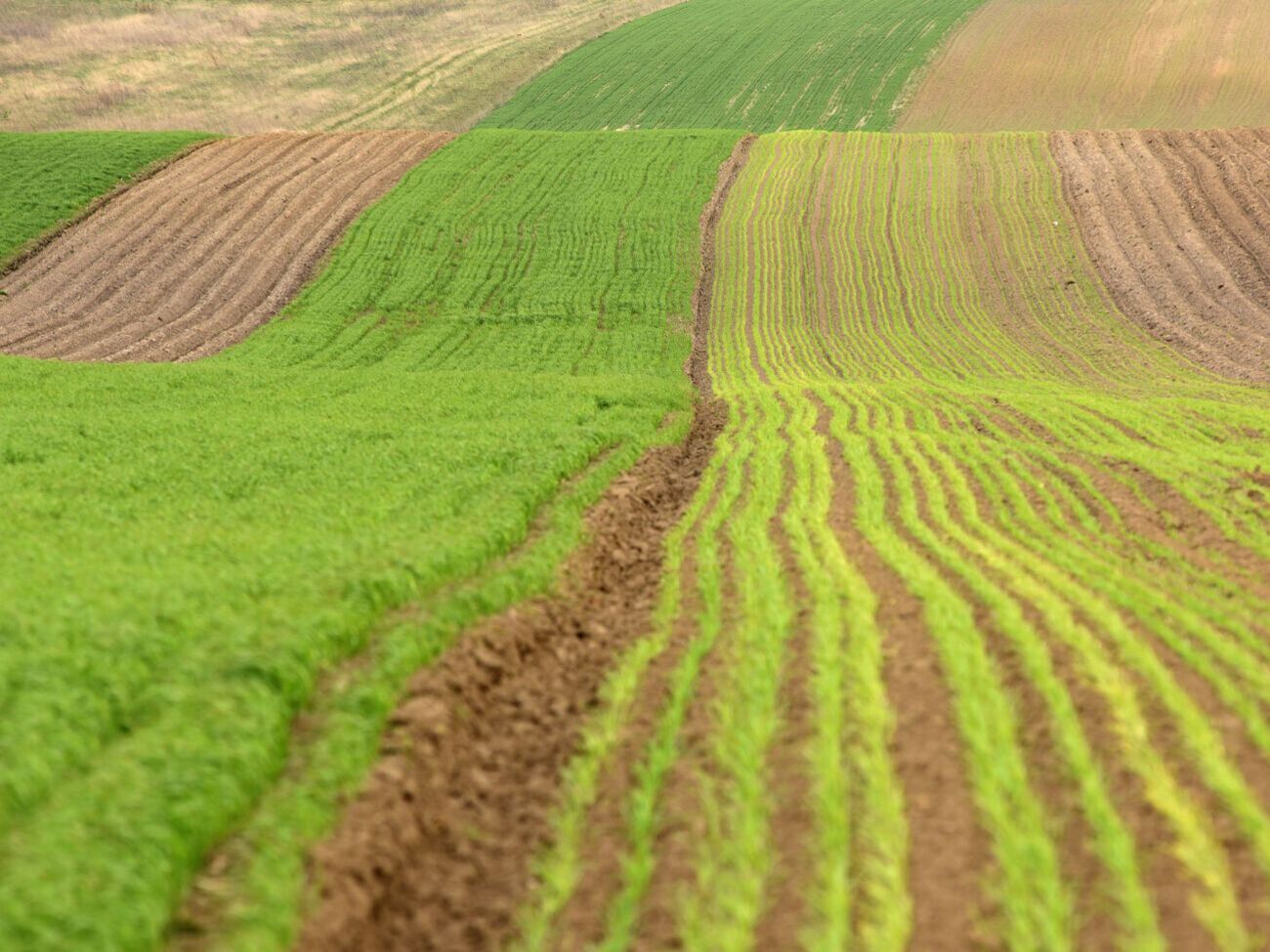На думку Лещенка, необхідно продемонструвати суспільству справжні мотиви людей, які блокували відкриття ринку землі
