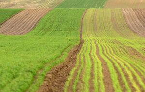 По мнению Лещенко, необходимо продемонстрировать обществу истинные мотивы людей, которые блокировали открытие рынка земли