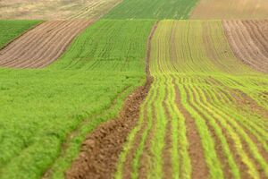 На думку Лещенка, необхідно продемонструвати суспільству справжні мотиви людей, які блокували відкриття ринку землі