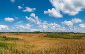 По словам Лещенко, Центральная Украина за последние десятилетия фактически переместилась из лесостепной зоны в степную