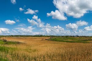 За словами Лещенка, Центральна Україна за останні десятиліття фактично перемістилася з лісостепової зони у степову