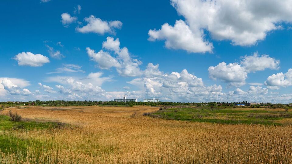 По словам Лещенко, Центральная Украина за последние десятилетия фактически переместилась из лесостепной зоны в степную