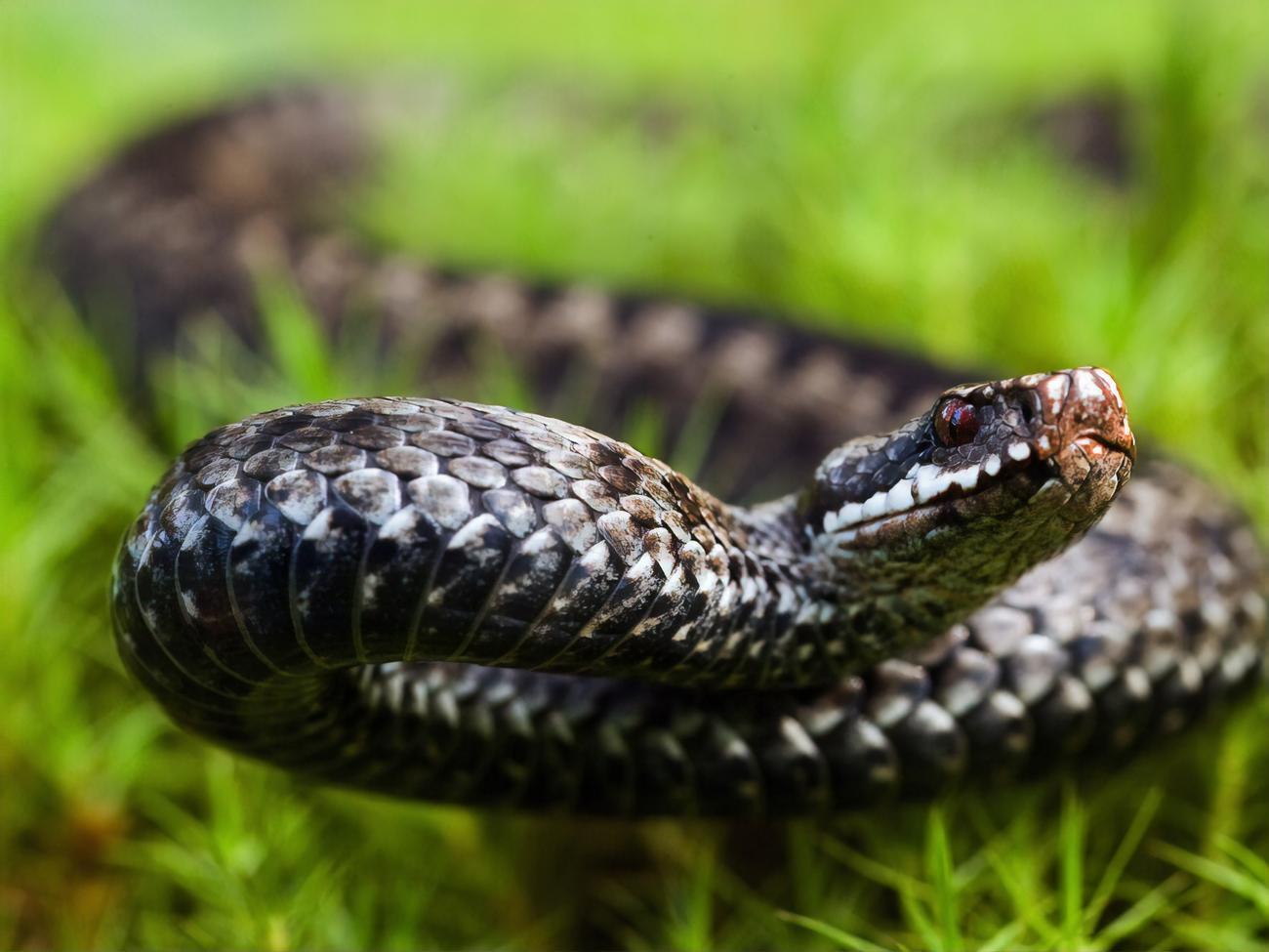 У всех пострадавших состояние средней степени тяжести