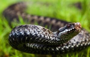 У всех пострадавших состояние средней степени тяжести