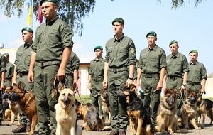 Всего отобрали 33 кинолога с собаками
