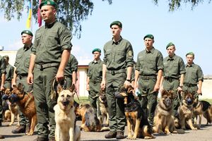 Усього дібрали 33 кінологів із собаками