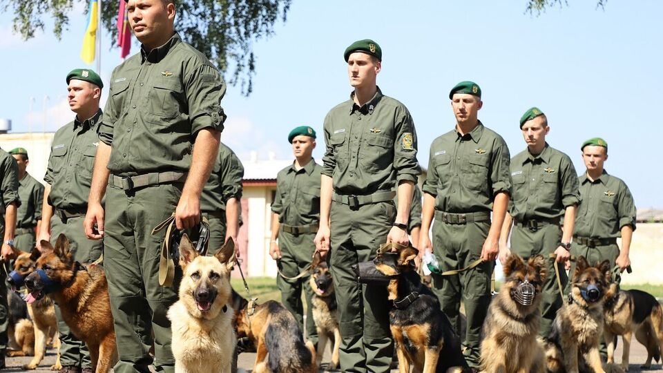 Усього дібрали 33 кінологів із собаками