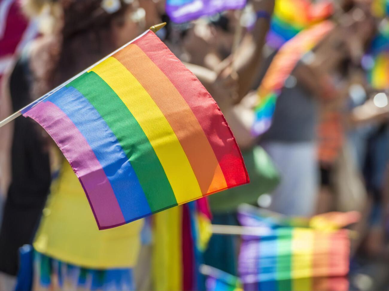 Изменение, расширяющее права ЛГБТ, должно вступить в силу в течение полугода