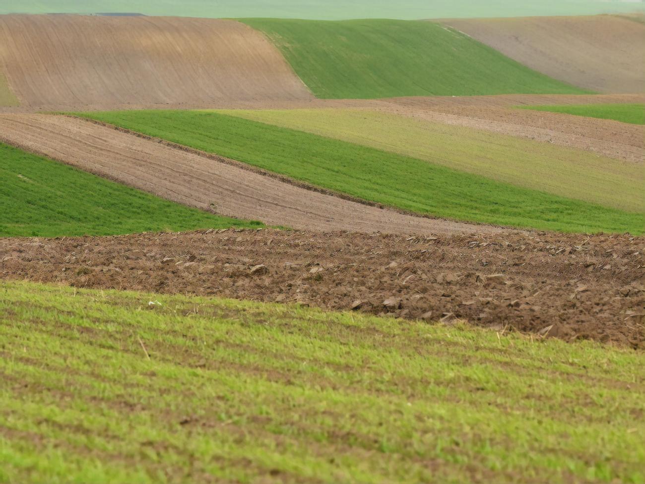 1 июля в Украине открылся рынок земли