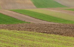 1 июля в Украине открылся рынок земли