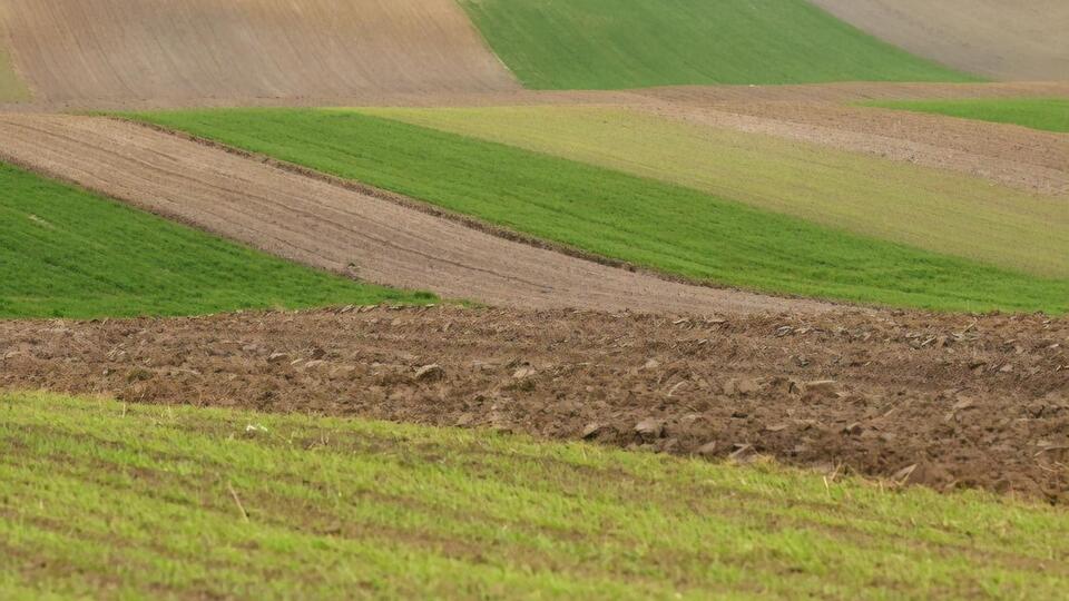 1 июля в Украине открылся рынок земли