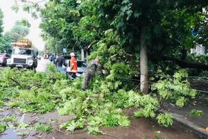 Деревья повредили линии электропередач