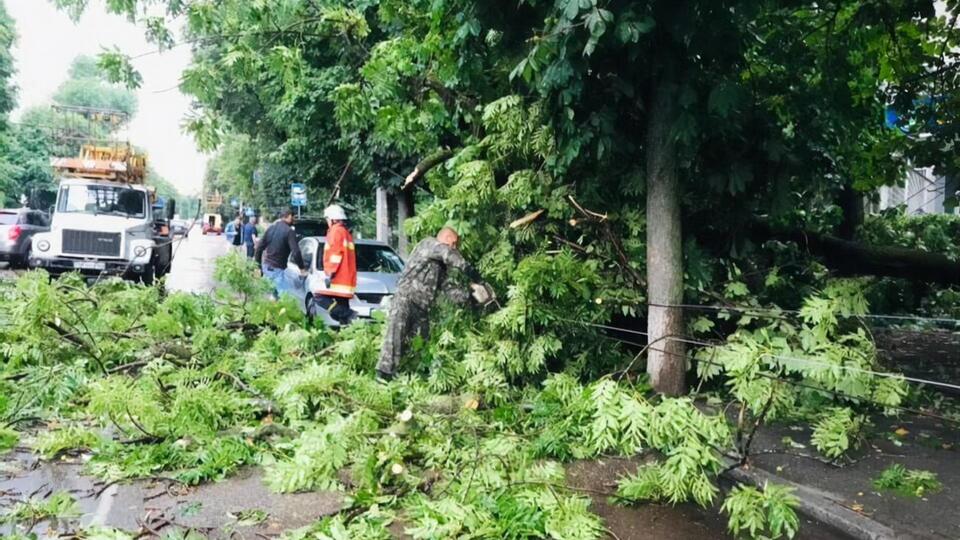 Деревья повредили линии электропередач