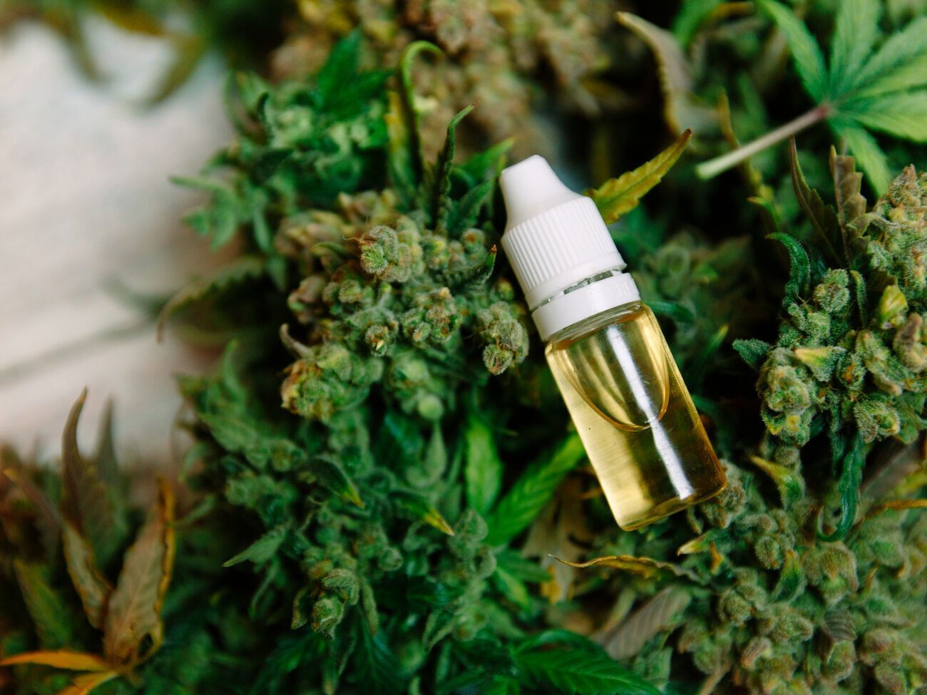 В Раде нашлось только 184 голоса в поддержку легализации медицинской марихуаны