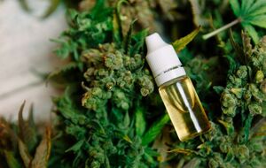 В Раде нашлось только 184 голоса в поддержку легализации медицинской марихуаны