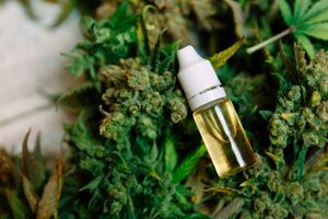 В Раде нашлось только 184 голоса в поддержку легализации медицинской марихуаны