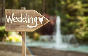 Стрельба произошла во время празднования свадьбы представителями чеченской диаспоры, сообщили СМИ