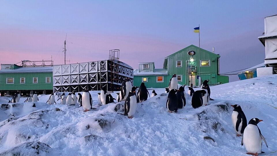 Покупка ледокола позволит украинским ученым решить логистические проблемы на антарктической станции "Академик Вернадский"