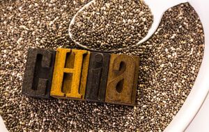 Семена чиа являются калорийным продуктом