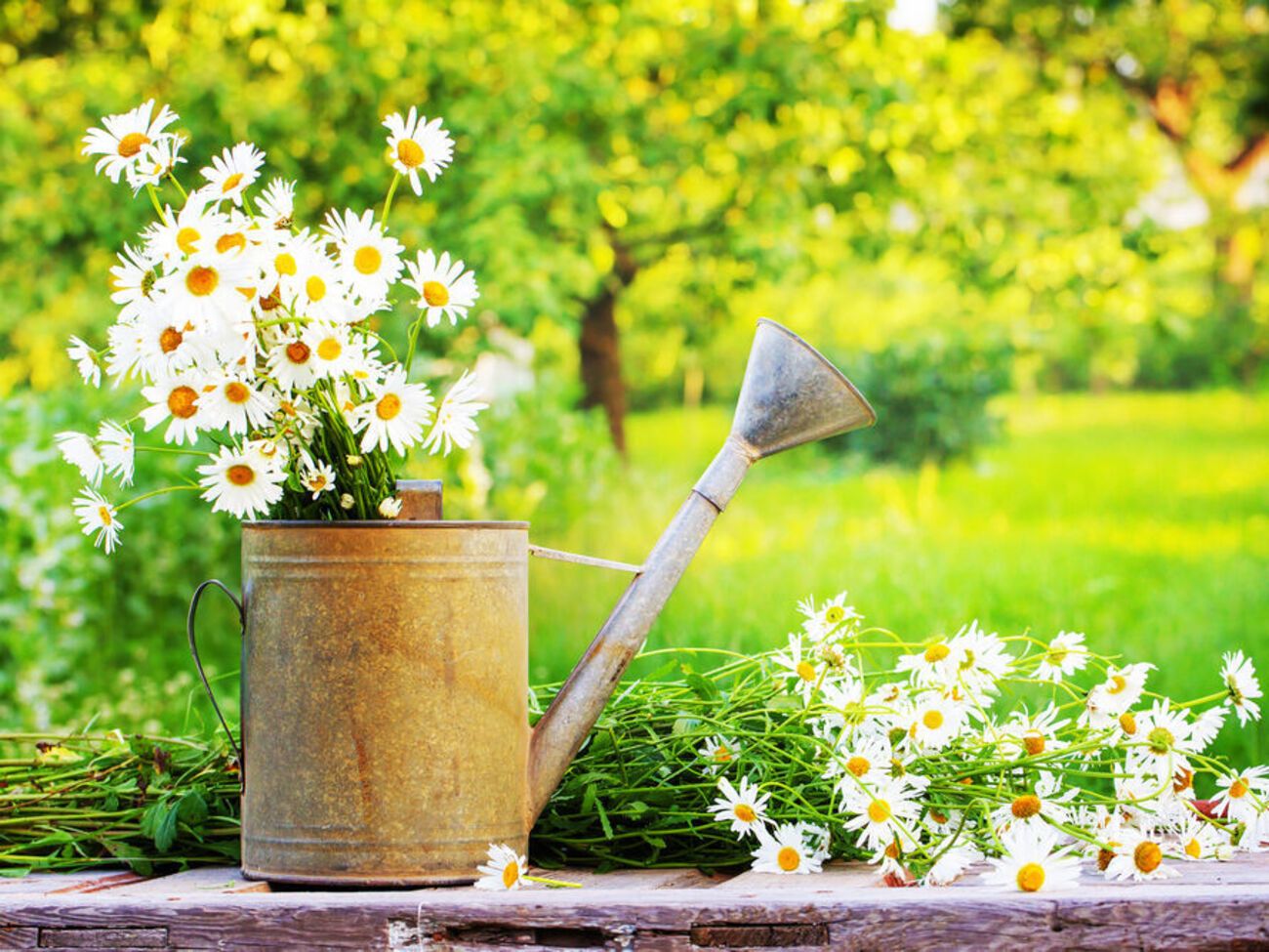 Половина лета уже позади