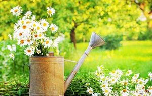 Половина лета уже позади