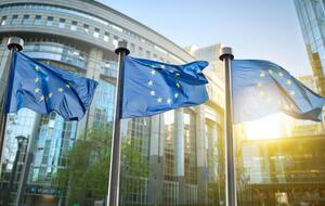 У "зеленому списку" Ради Євросоюзу 23 країни