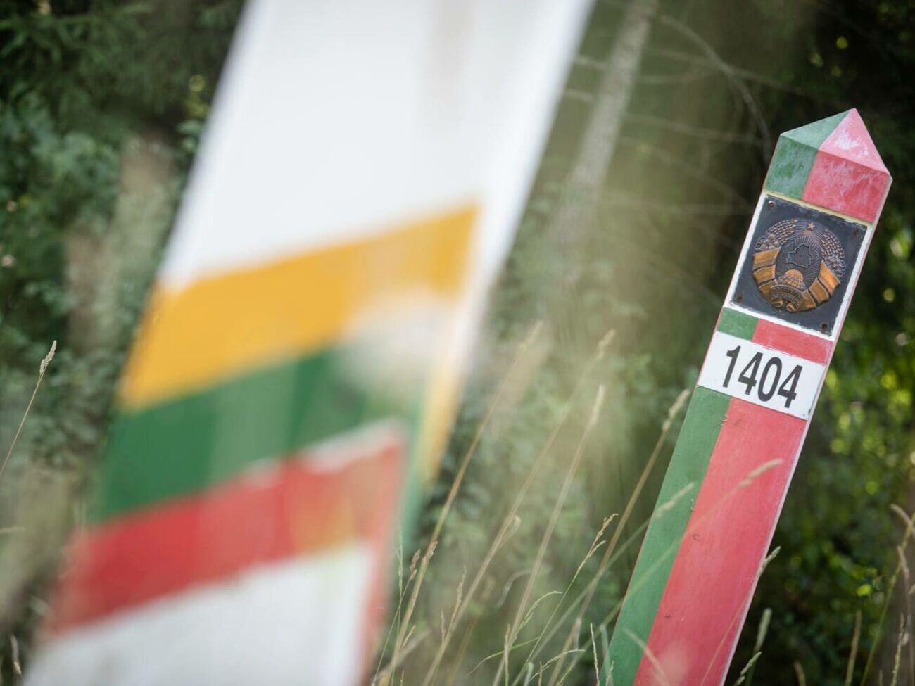 В 2021 году литовские пограничники задержали 67 россиян, которые нелегально пытались въехать в страну из Беларуси