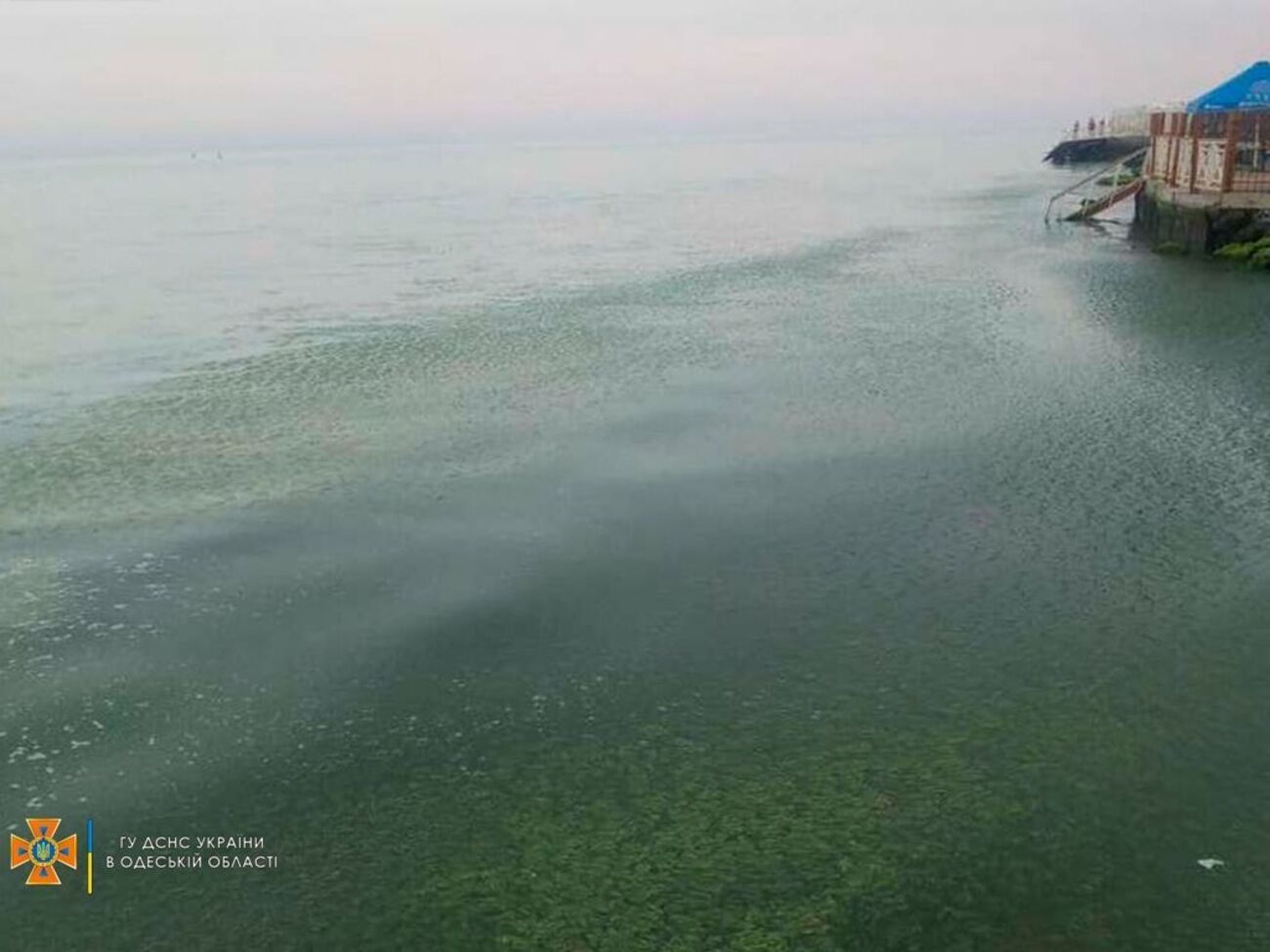 Мужчина и сын были на пляже базы отдыха "Ирина"