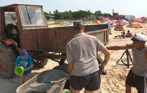 Медуз грузят в трактор, отвозят и закапывают