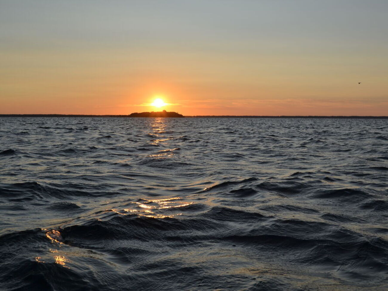 Пострадавшие не могли самостоятельно добраться до берега