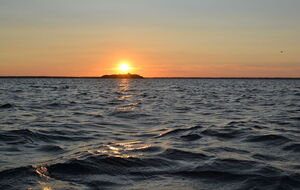 Пострадавшие не могли самостоятельно добраться до берега