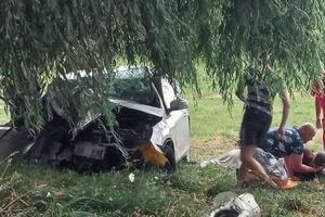 Автомобіль врізався в дерево
