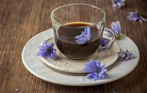 Цикорий с осторожностью нужно пить людям, желающим похудеть