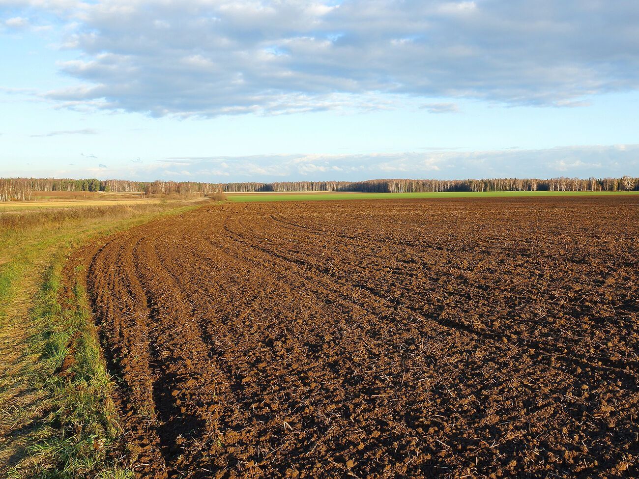 Больше всего сделок по земле совершили в&nbsp;Киевской и Полтавской областях