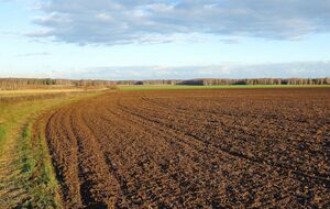 Больше всего сделок по земле совершили в Киевской и Полтавской областях