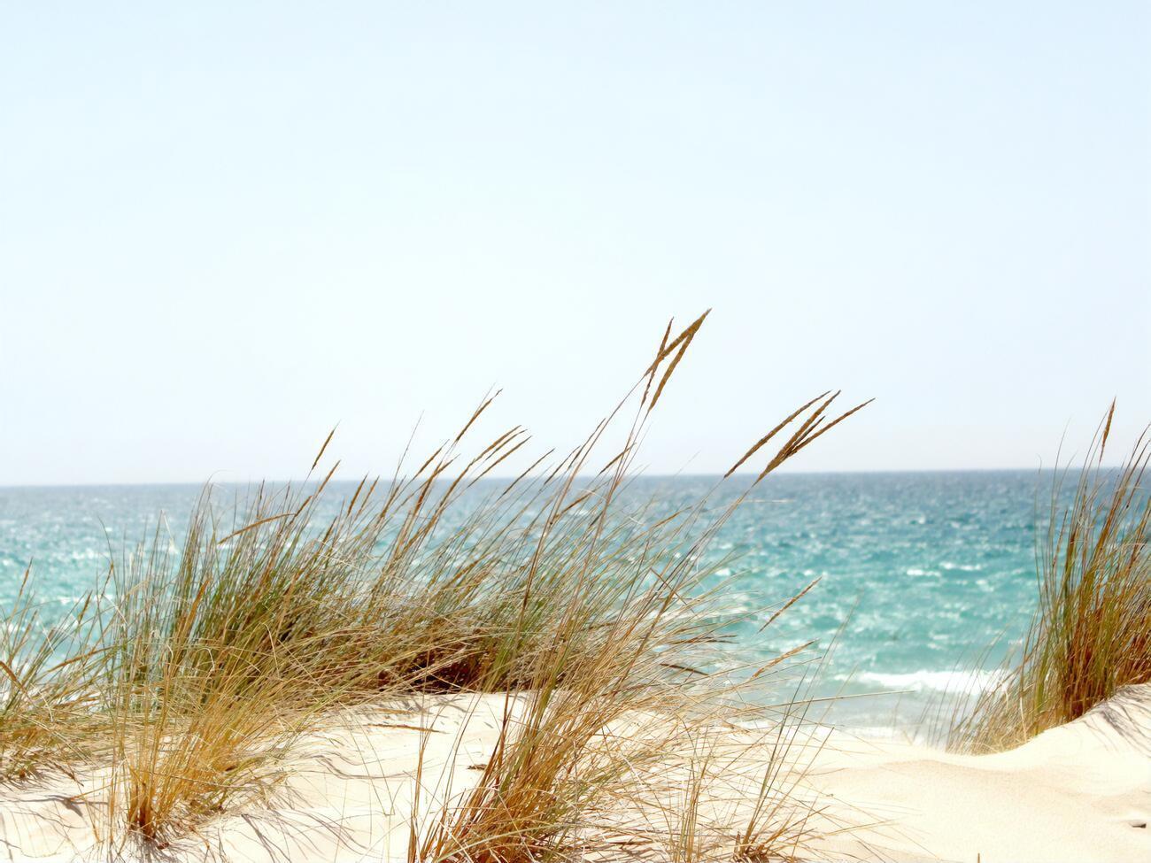 С начала года в водоемах Украины утонуло 808 человек