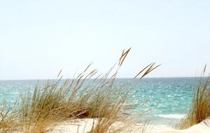 С начала года в водоемах Украины утонуло 808 человек