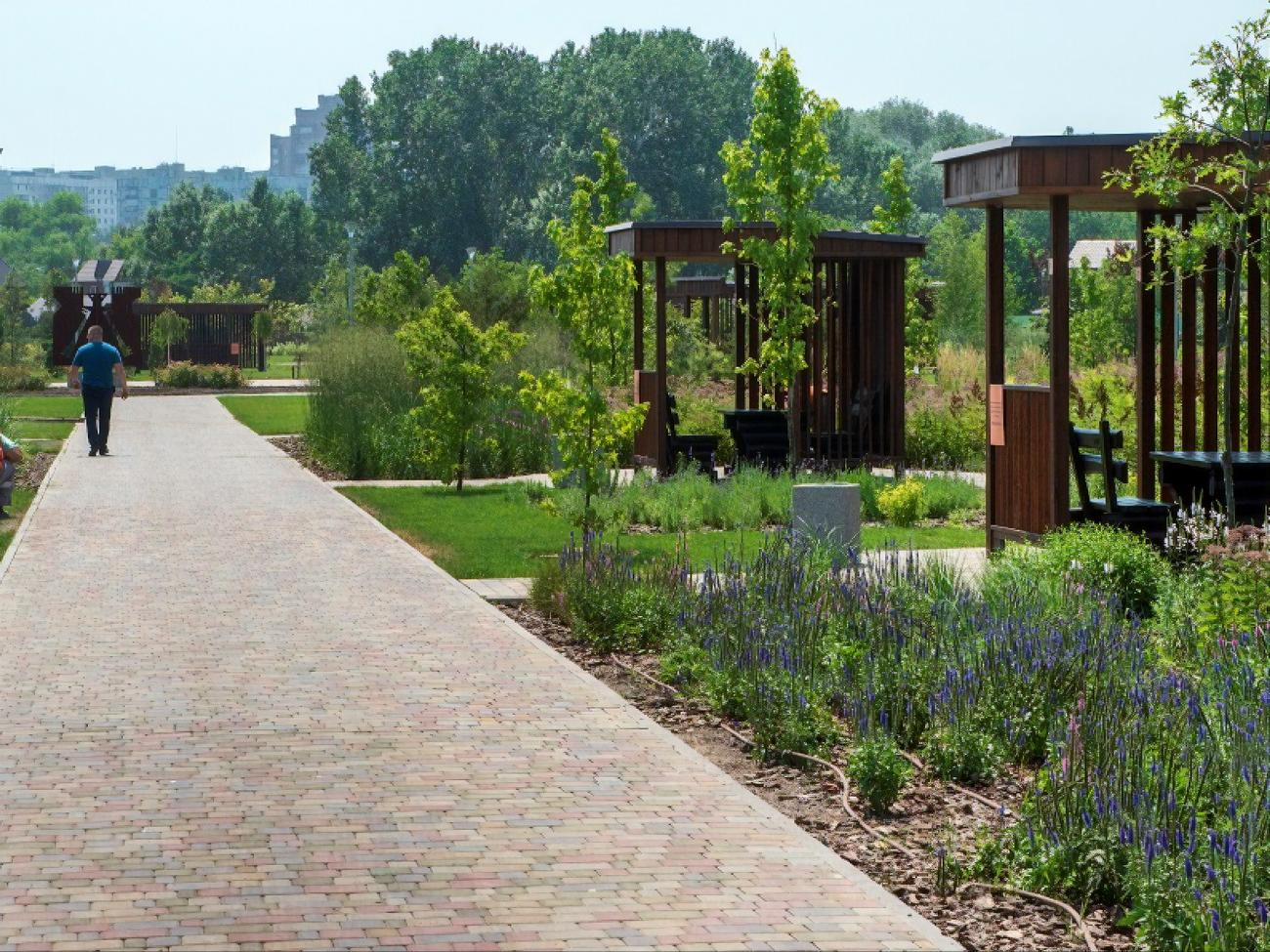 В дальнейших планах &ndash; создать на базе парка Гурова дендропарк с большой прогулочной зоной