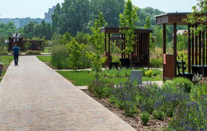 В дальнейших планах – создать на базе парка Гурова дендропарк с большой прогулочной зоной