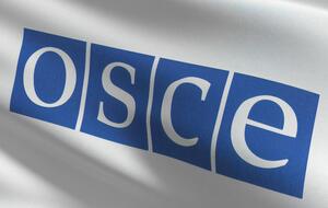 Назначен новый спецпредставитель ОБСЕ