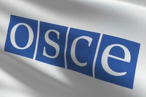 Назначен новый спецпредставитель ОБСЕ