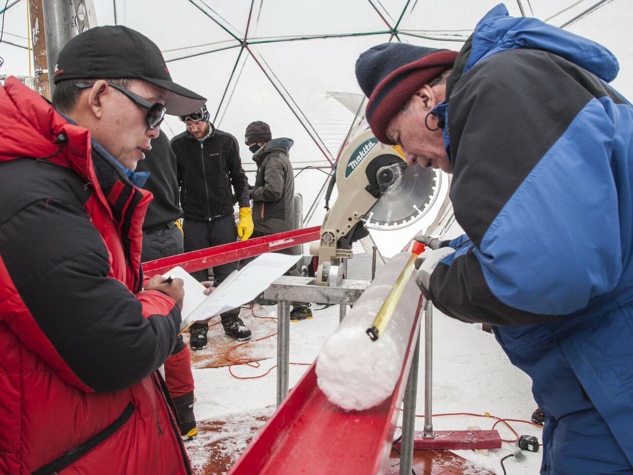 Ученые исследуют вирусы, которые выжили в древнем льду