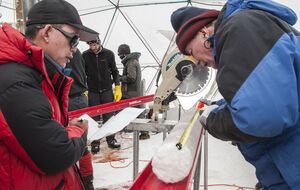 Ученые исследуют вирусы, которые выжили в древнем льду