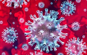 В РФ штаммы коронавируса "Гамма" и "Дельта" отнесли к категории "вызывающих озабоченность"