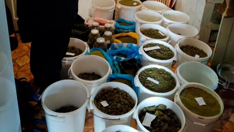 В доме мужчины нашли 18 ведер с каннабисом