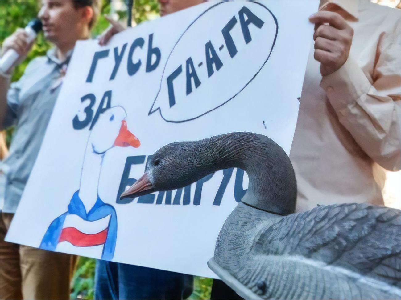 У Києві відбулася акція "Гусь за Білорусь". Фоторепортаж