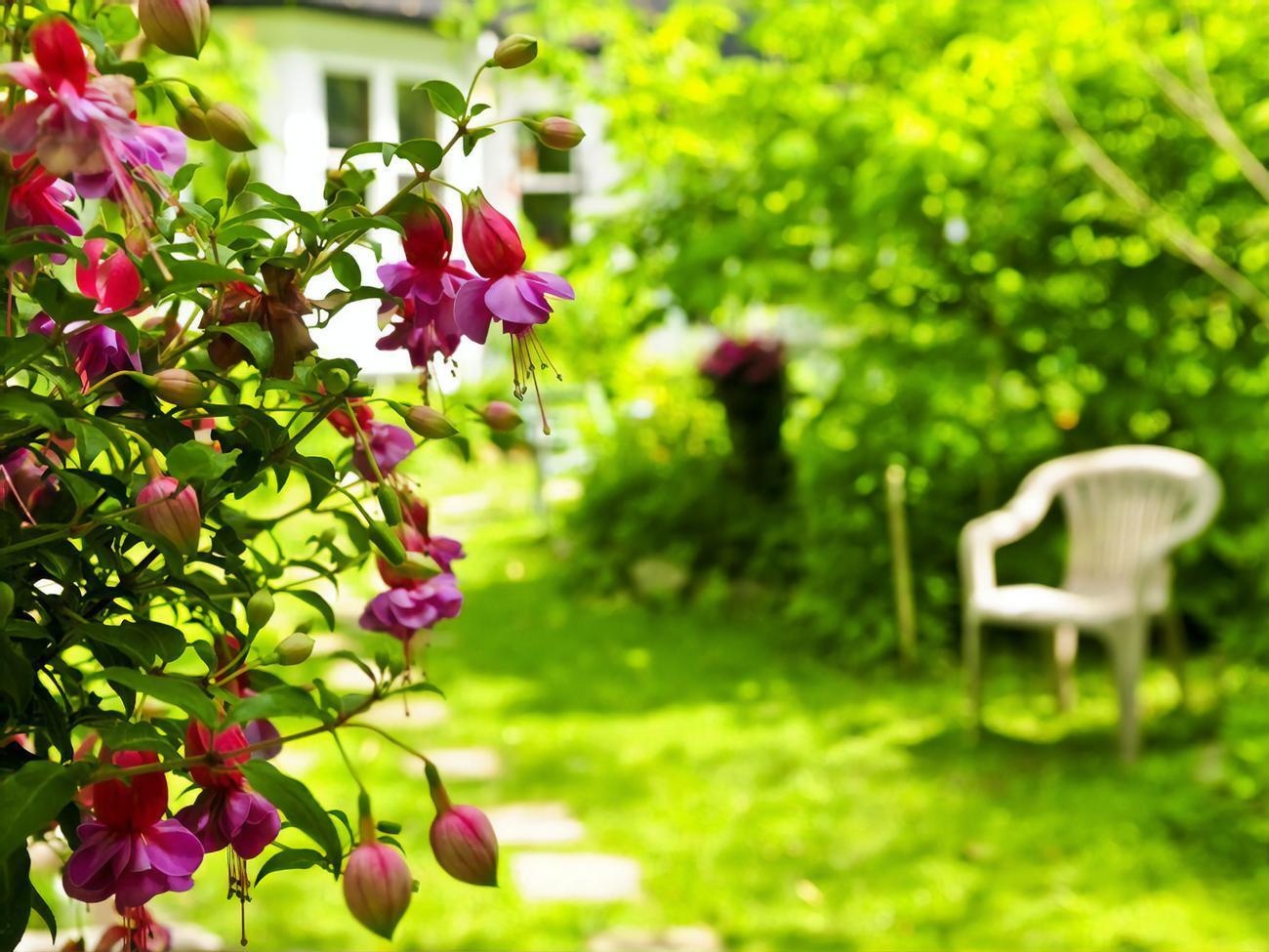 Сегодня 24 июля, до конца года остается 160 дней