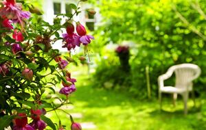 Сегодня 24 июля, до конца года остается 160 дней